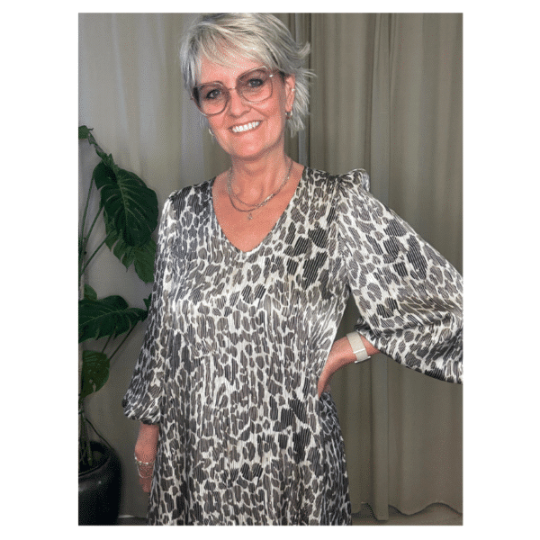 JESS DRESS- LEO STRIPE BLACK - Image 2